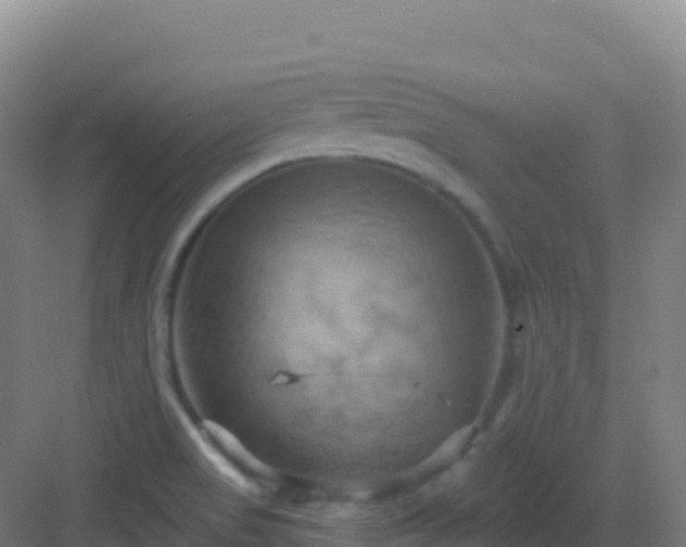 X0000083041517200702091355