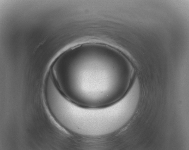 X0000083041518200702091355