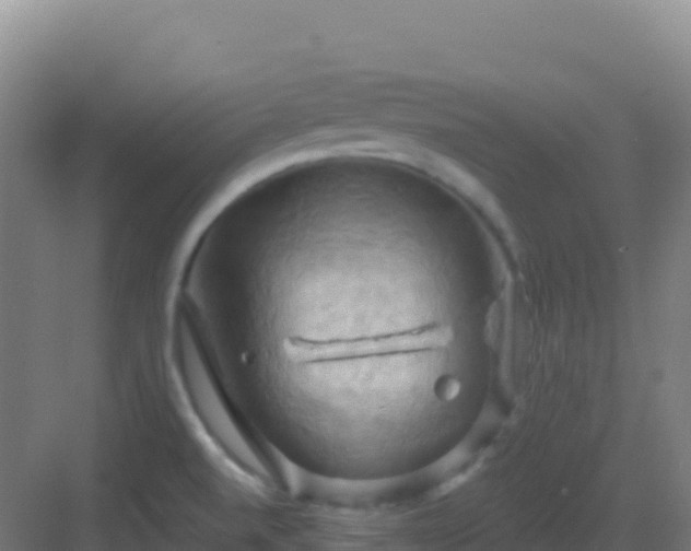 X0000083041520200702091355