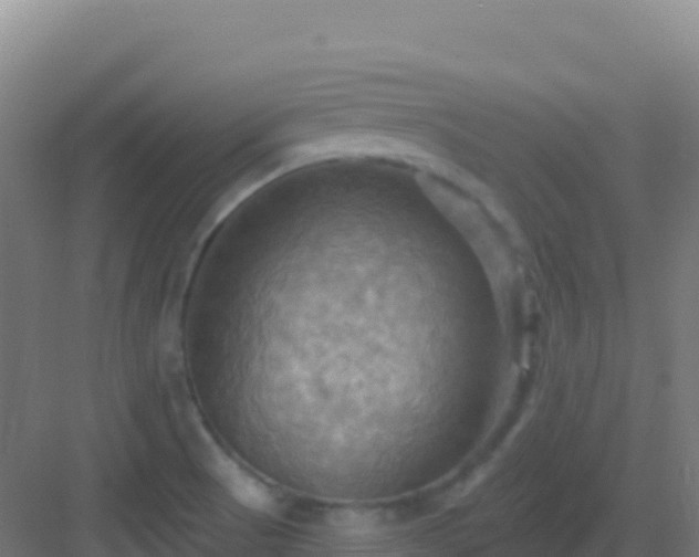 X0000083041521200702091355