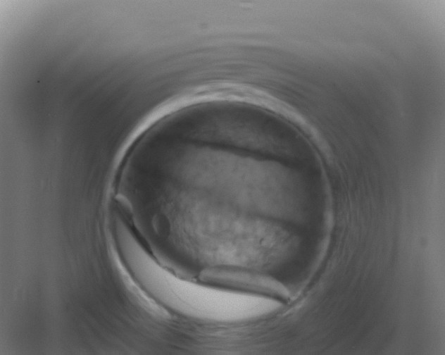 X0000083041522200702091355