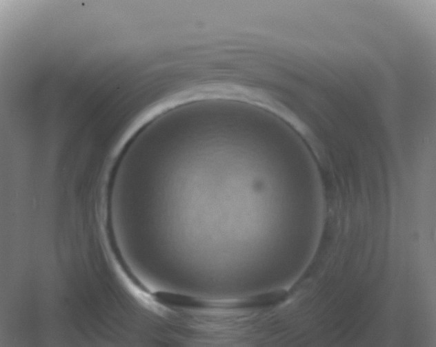 X0000083041523200702091355