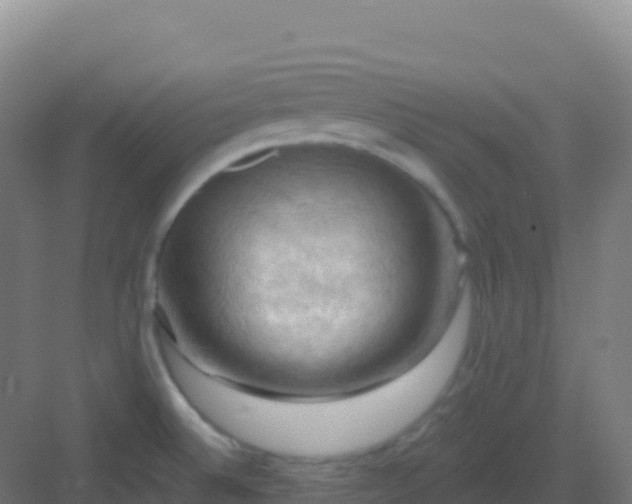 X0000083041524200702091355