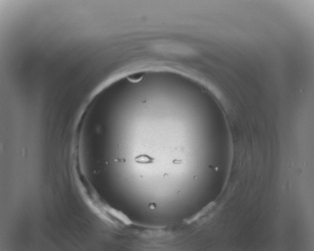 X0000083041526200702091355