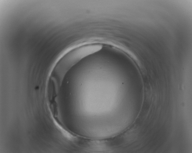 X0000083041527200702091355