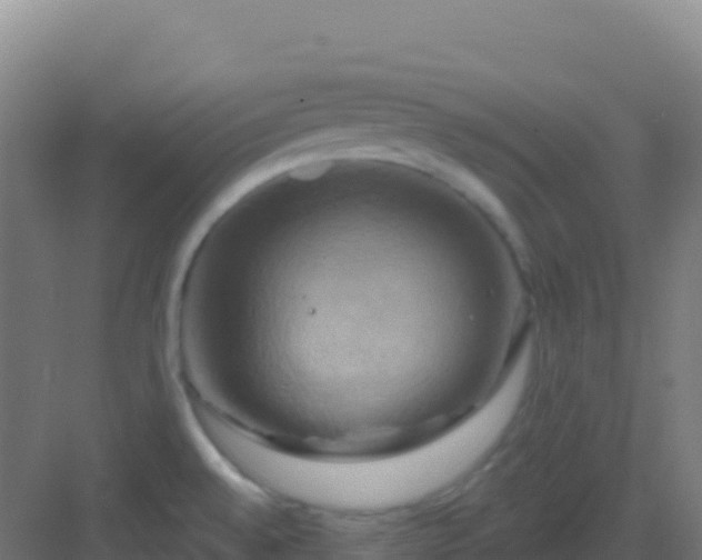 X0000083041528200702091355