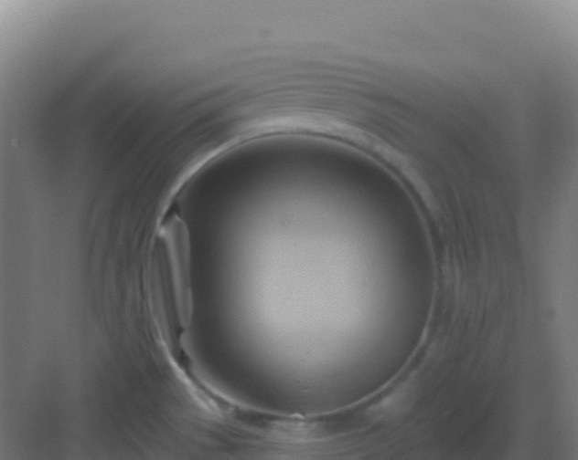 X0000083041529200702091355