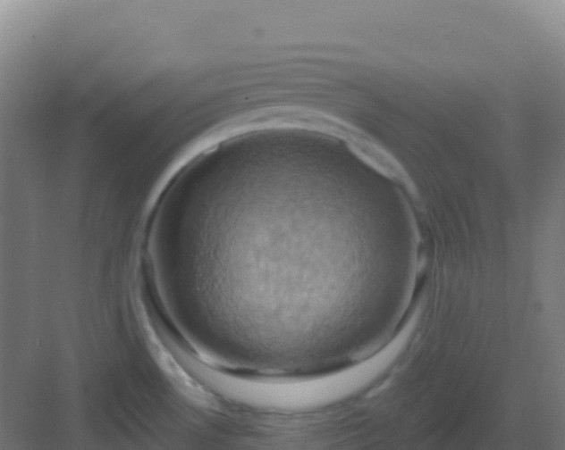 X0000083041530200702091355