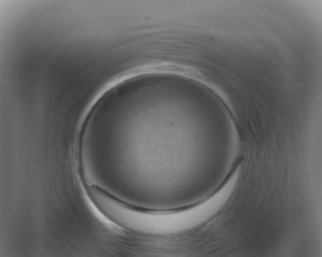 X0000083041531200702091356