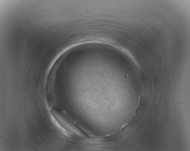 X0000083041532200702091356