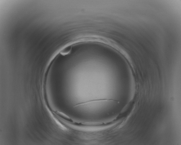 X0000083041533200702091356