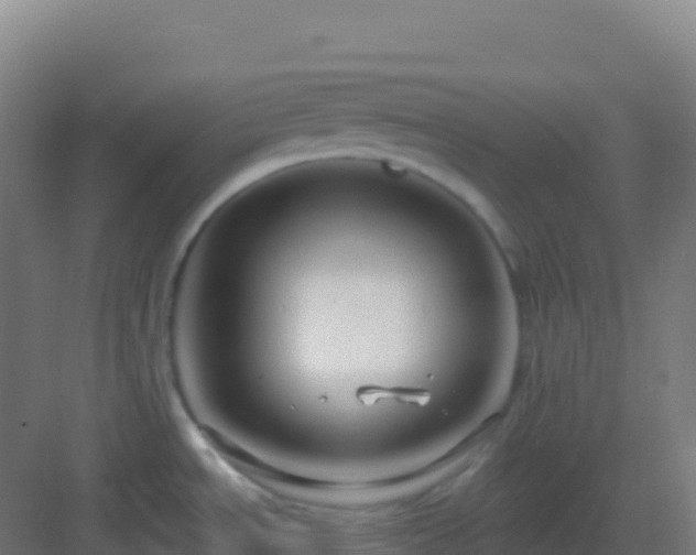 X0000083041534200702091356