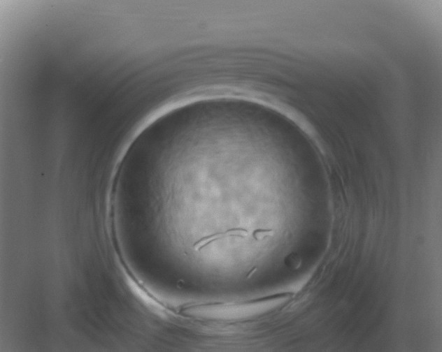 X0000083041535200702091356