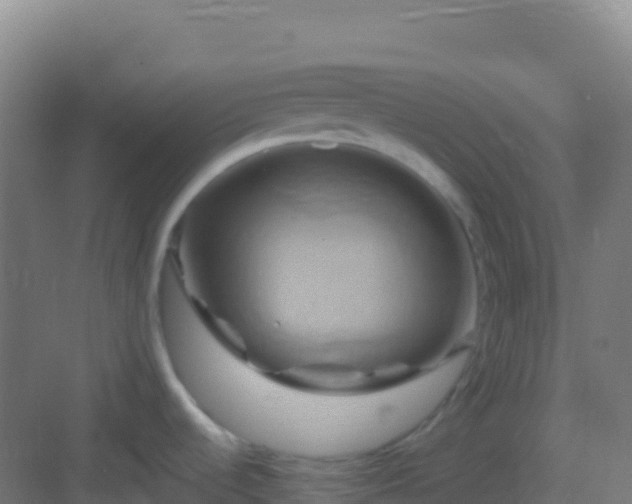 X0000083041536200702091356