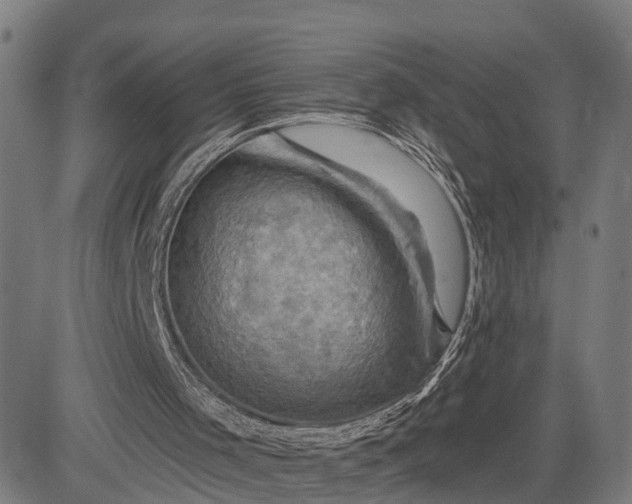 X0000083040001200702161718