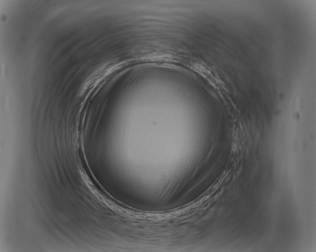 X0000083040002200702161718