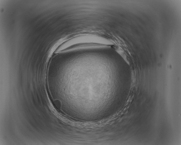 X0000083040003200702161718