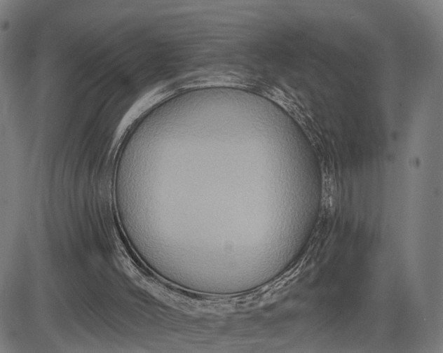 X0000083040004200702161718