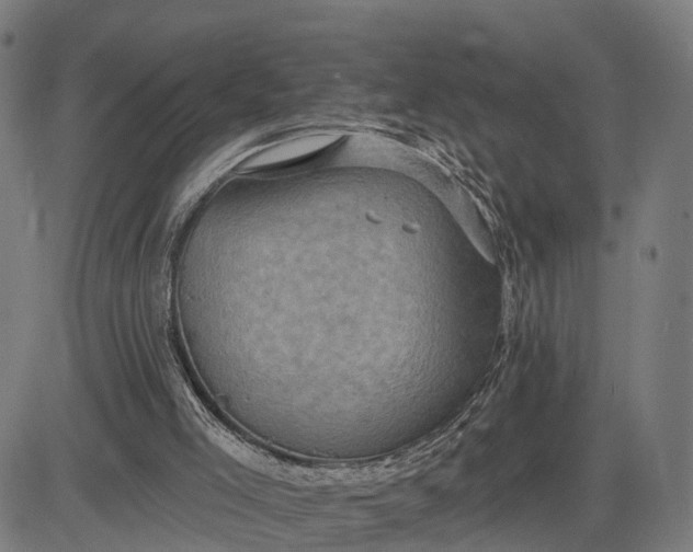 X0000083040005200702161718