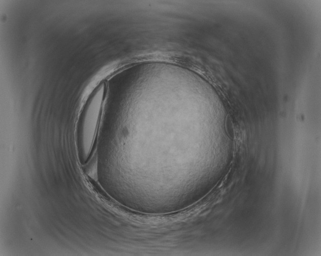 X0000083040006200702161718