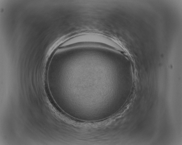 X0000083040007200702161718