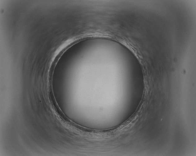 X0000083040008200702161718