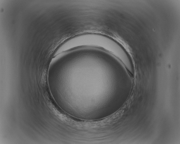 X0000083040009200702161718