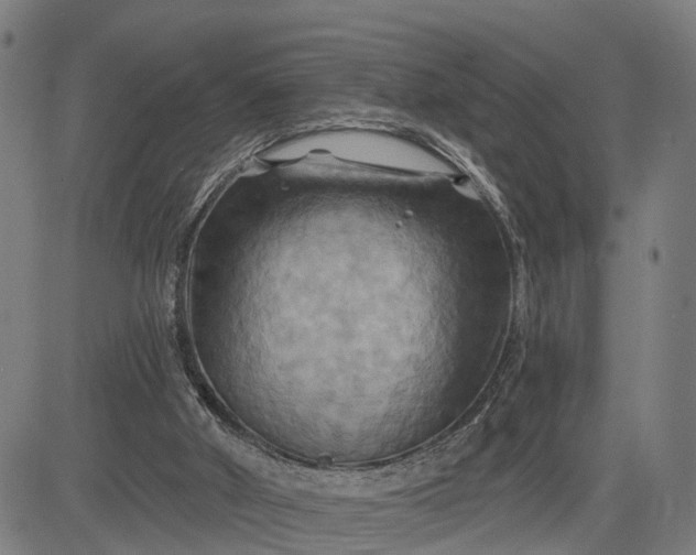 X0000083040010200702161718