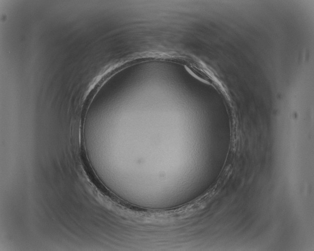 X0000083040011200702161718