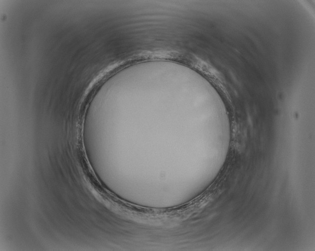 X0000083040012200702161718