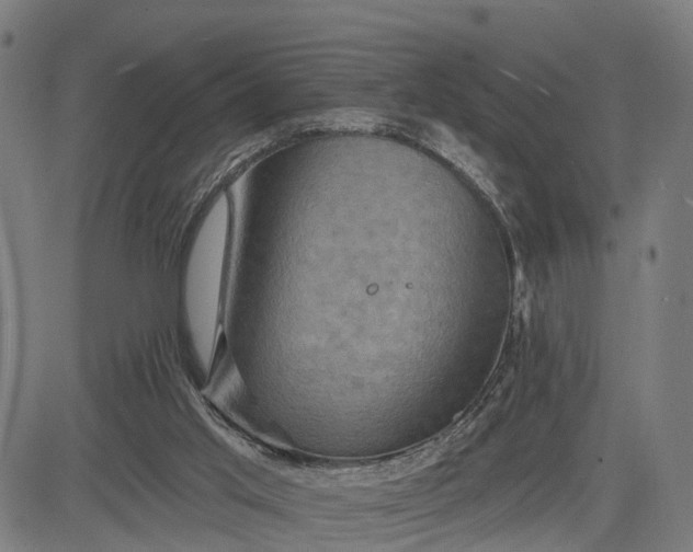 X0000083040013200702161718