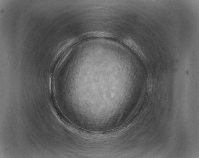 X0000083040014200702161718