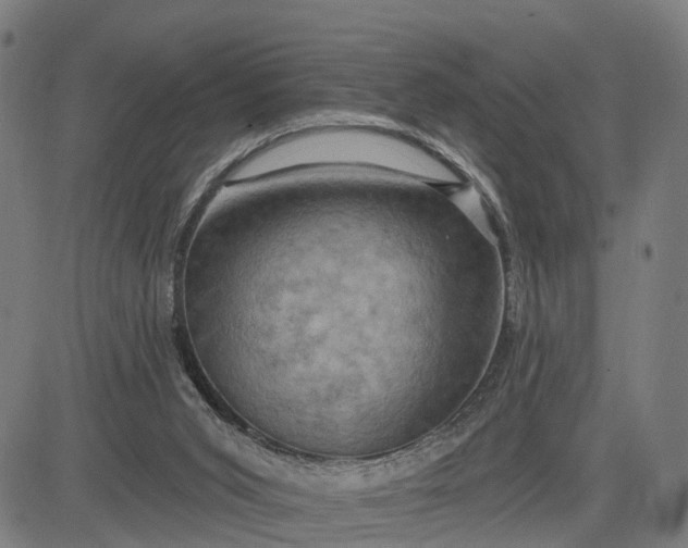 X0000083040015200702161718