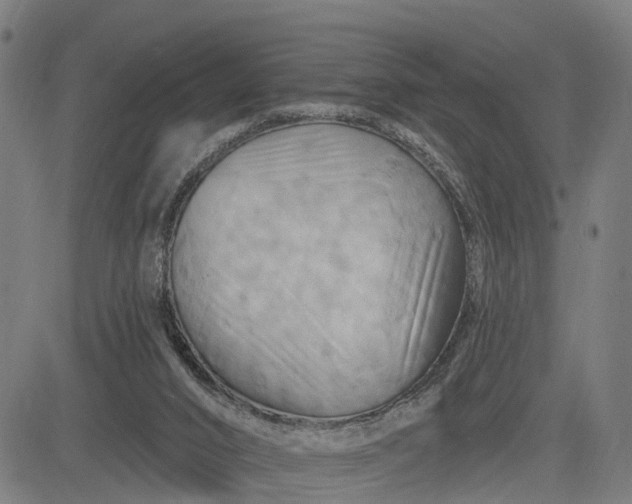 X0000083040016200702161718