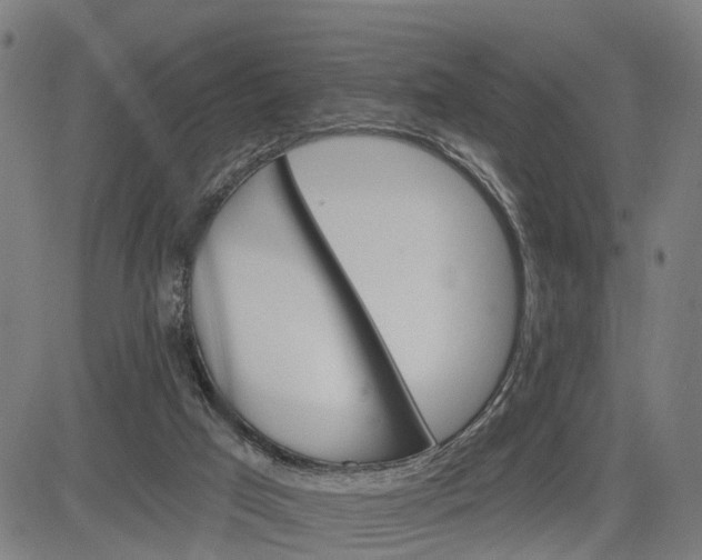 X0000083040017200702161718