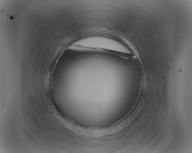 X0000083040018200702161718