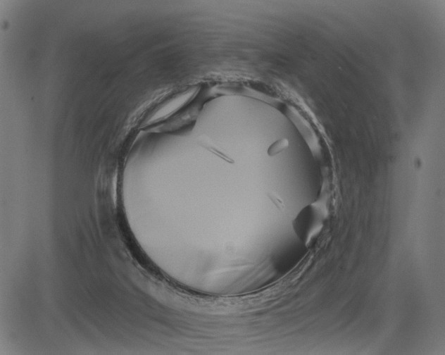 X0000083040019200702161718