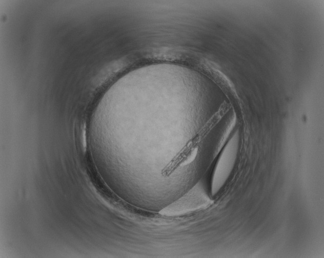 X0000083040020200702161718