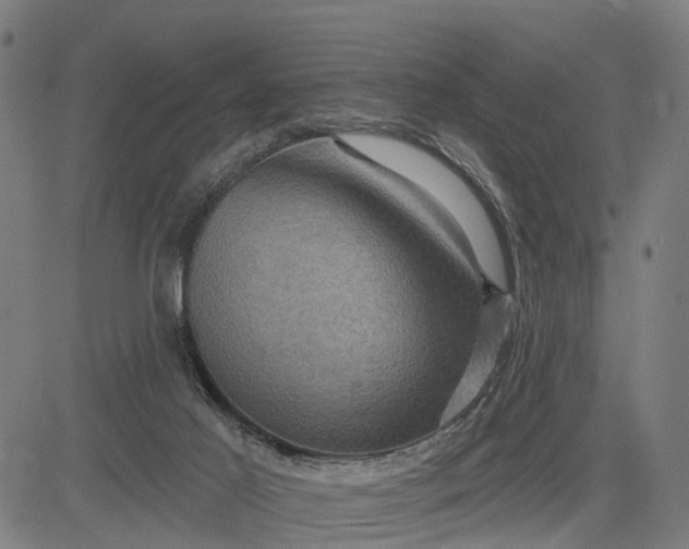 X0000083040021200702161718