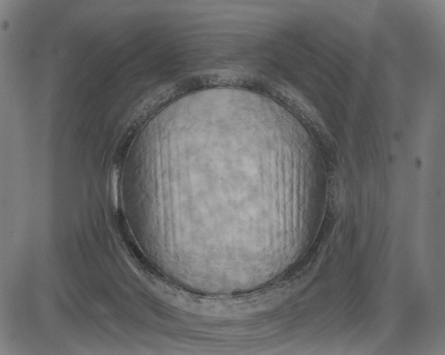 X0000083040022200702161718