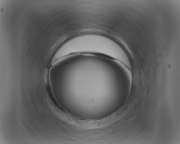 X0000083040023200702161718