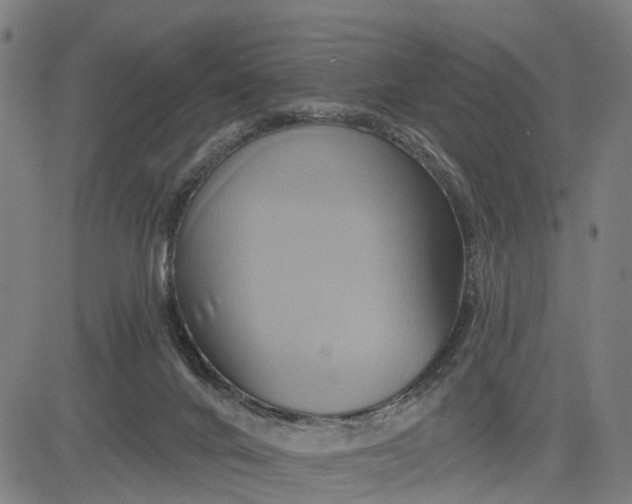 X0000083040024200702161718