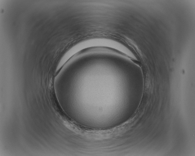 X0000083040025200702161718