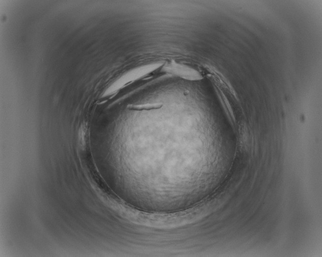 X0000083040026200702161718