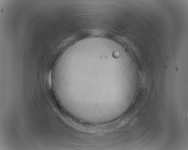 X0000083040028200702161718