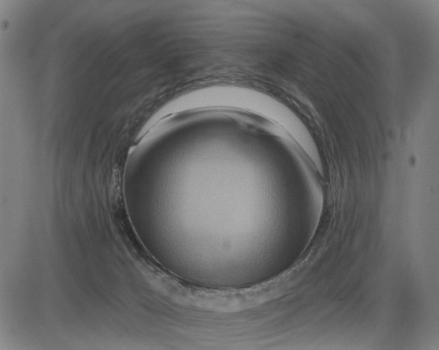 X0000083040029200702161718