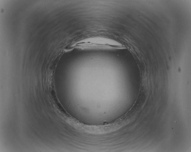 X0000083040030200702161717