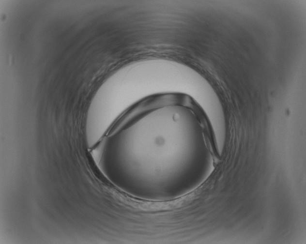 X0000083040031200702161717