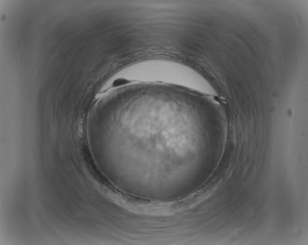 X0000083040032200702161717