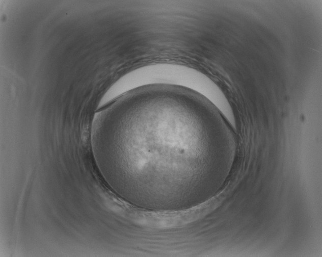 X0000083040033200702161717